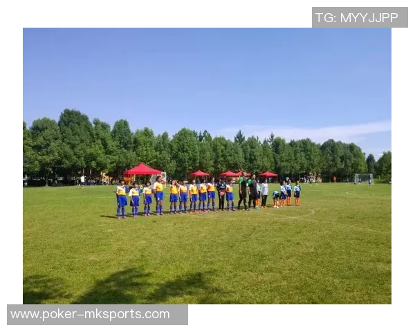 足球的数量是排球的几倍探讨球类运动的数量关系与影响因素